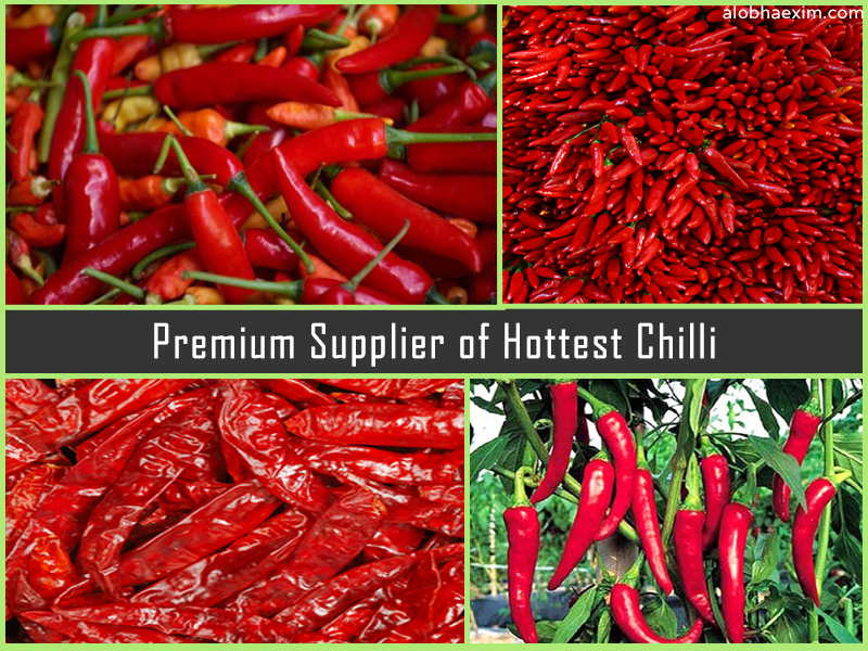 hottest chilli in India